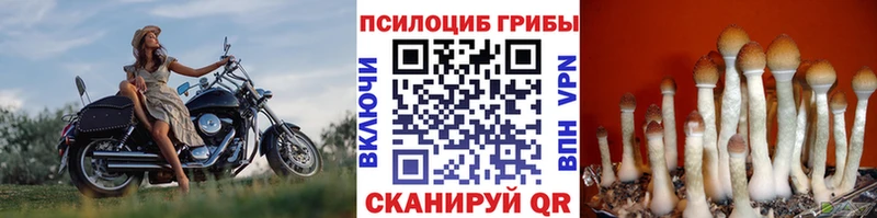 Купить закладки  Белая Калитва  Псилоцибиновые грибы MAGIC MUSHROOMS 